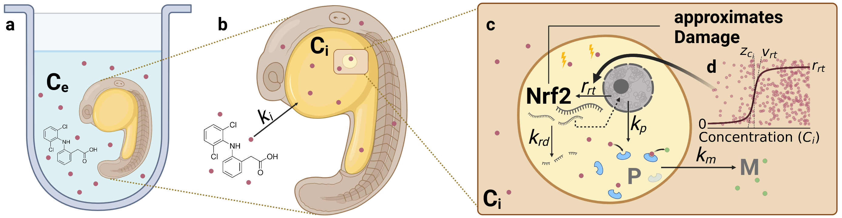 image-5.png
