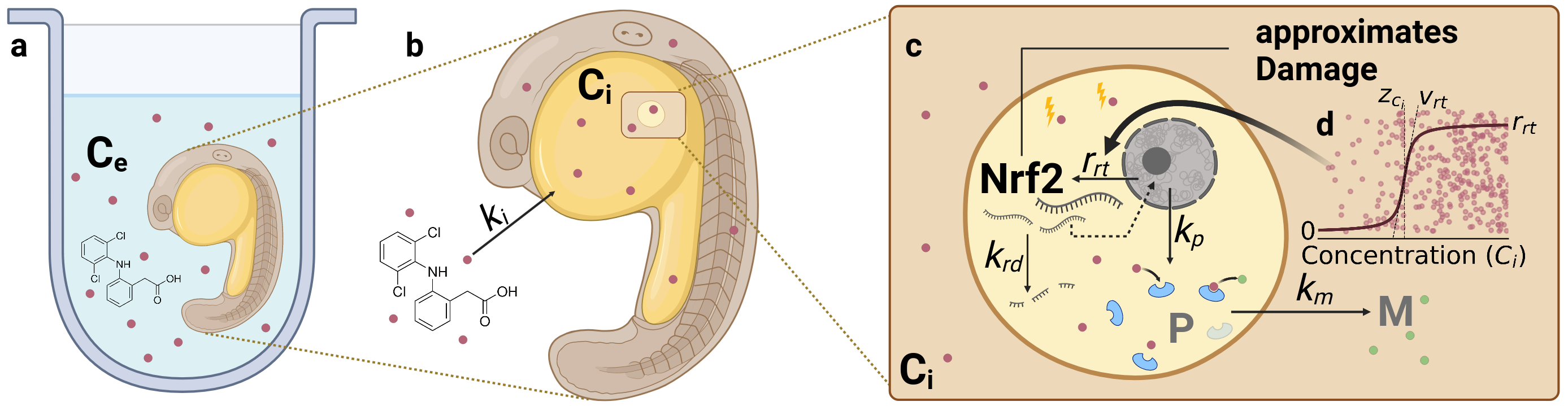 image-5.png